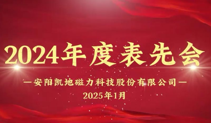 公司召開(kāi)2024年度表先會(huì)，對(duì)37名優(yōu)秀員工進(jìn)行表彰